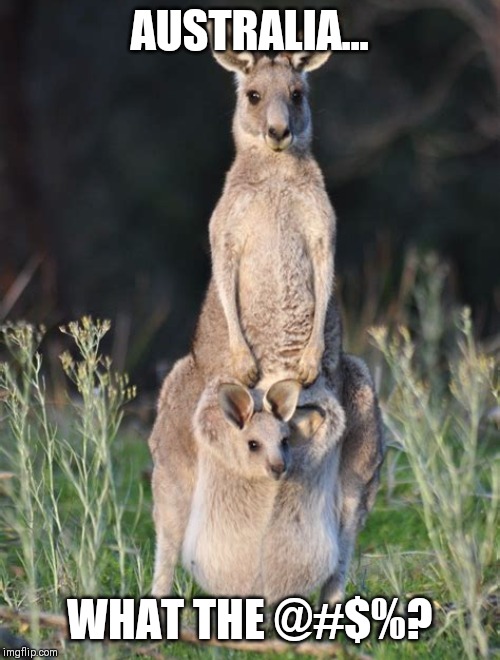 You might be in Australia if.... UberAnimal is a popular genetic trait | AUSTRALIA... WHAT THE @#$%? | image tagged in australia | made w/ Imgflip meme maker