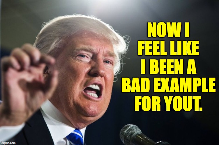 donald trump | NOW I FEEL LIKE I BEEN A BAD EXAMPLE FOR YOUT. | image tagged in donald trump | made w/ Imgflip meme maker