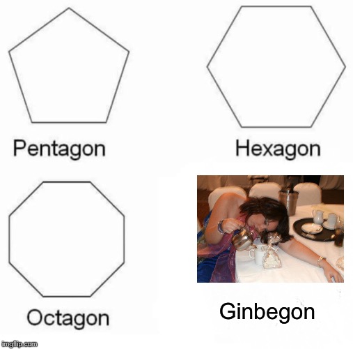 Pentagon hexagon octagon ginbegon | Ginbegon | image tagged in memes,pentagon hexagon octagon,funny memes | made w/ Imgflip meme maker