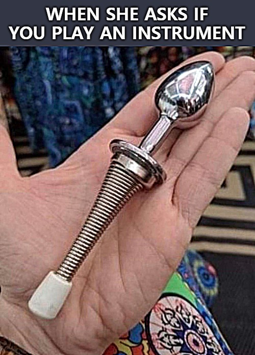 WHEN SHE ASKS IF YOU PLAY AN INSTRUMENT | image tagged in instrument | made w/ Imgflip meme maker