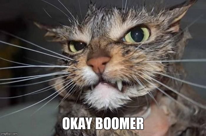 Angry Mad Cat | OKAY BOOMER | image tagged in angry mad cat | made w/ Imgflip meme maker