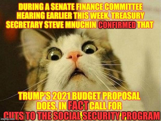 No Surprise That Trump Lied ... Again.  I Don't Think He Could Tell A Truth If You Paid Him | DURING A SENATE FINANCE COMMITTEE HEARING EARLIER THIS WEEK, TREASURY SECRETARY STEVE MNUCHIN CONFIRMED THAT; CONFIRMED; TRUMP'S 2021 BUDGET PROPOSAL DOES, IN FACT, CALL FOR CUTS TO THE SOCIAL SECURITY PROGRAM; CUTS TO THE SOCIAL SECURITY PROGRAM; FACT | image tagged in memes,scared cat,trump unfit unqualified dangerous,liar in chief,lock him up,trump traitor | made w/ Imgflip meme maker