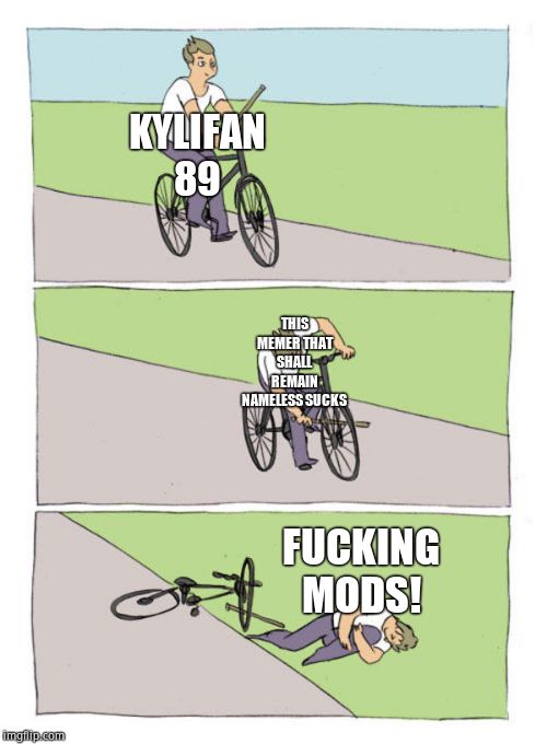 stick in own wheel hurt yourself | KYLIFAN 89 THIS MEMER THAT SHALL REMAIN NAMELESS SUCKS F**KING MODS! | image tagged in stick in own wheel hurt yourself | made w/ Imgflip meme maker