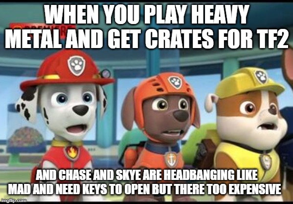 crates and heavy metal | WHEN YOU PLAY HEAVY METAL AND GET CRATES FOR TF2; AND CHASE AND SKYE ARE HEADBANGING LIKE MAD AND NEED KEYS TO OPEN BUT THERE TOO EXPENSIVE | image tagged in shocked marshall zuma and rubble | made w/ Imgflip meme maker