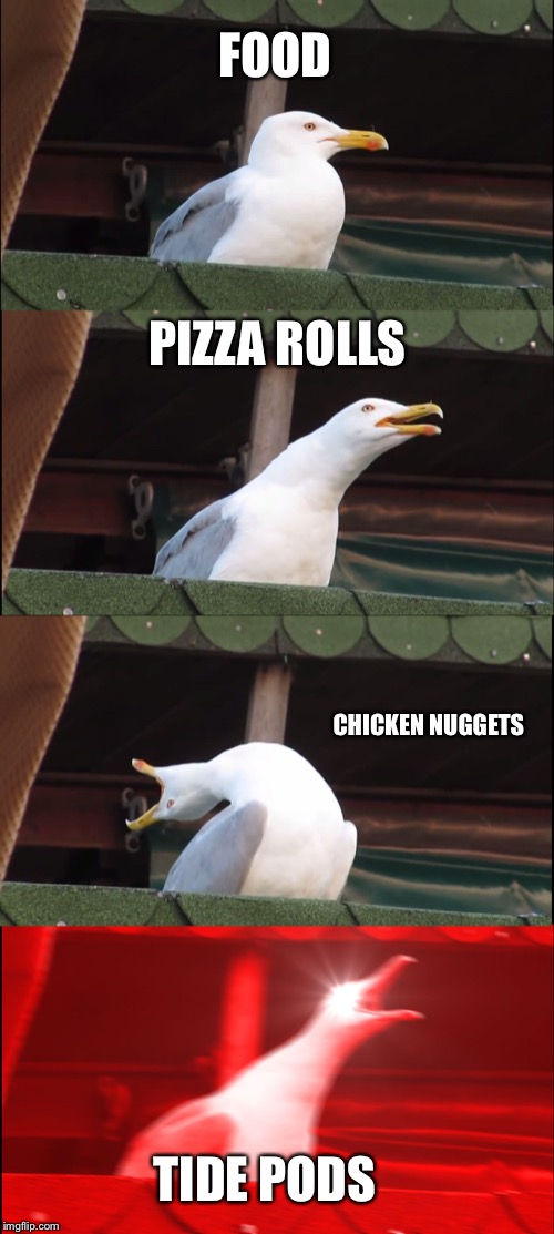 Inhaling Seagull Meme | FOOD; PIZZA ROLLS; CHICKEN NUGGETS; TIDE PODS | image tagged in memes,inhaling seagull | made w/ Imgflip meme maker