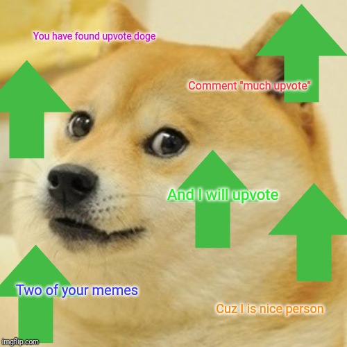 Doge Meme | You have found upvote doge; Comment "much upvote"; And I will upvote; Two of your memes; Cuz I is nice person | image tagged in memes,doge | made w/ Imgflip meme maker