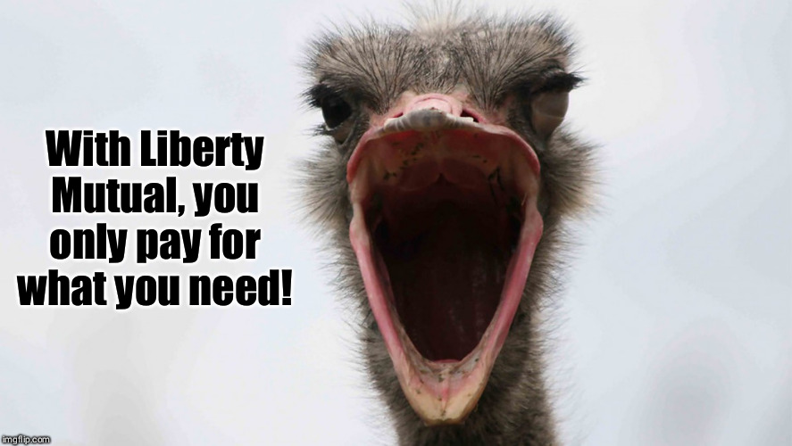 Limu Emu | With Liberty Mutual, you only pay for what you need! | image tagged in animals to humans,fun stuff | made w/ Imgflip meme maker