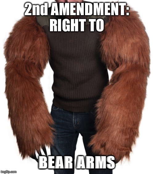 Bear arms | 2nd AMENDMENT: RIGHT TO; BEAR ARMS | image tagged in bear arms | made w/ Imgflip meme maker