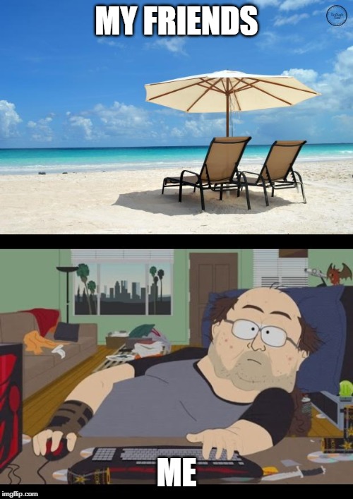 MY FRIENDS; ME | image tagged in beach,fat gamer | made w/ Imgflip meme maker