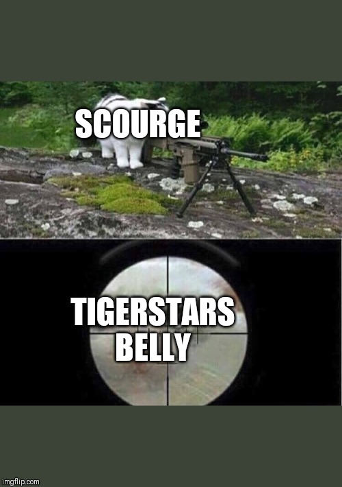 Sniper cat aim crying cat | SCOURGE; TIGERSTARS BELLY | image tagged in sniper cat aim crying cat,WarriorCats | made w/ Imgflip meme maker