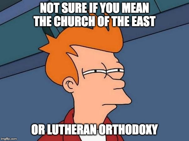 Not sure if- fry | NOT SURE IF YOU MEAN THE CHURCH OF THE EAST; OR LUTHERAN ORTHODOXY | image tagged in not sure if- fry | made w/ Imgflip meme maker