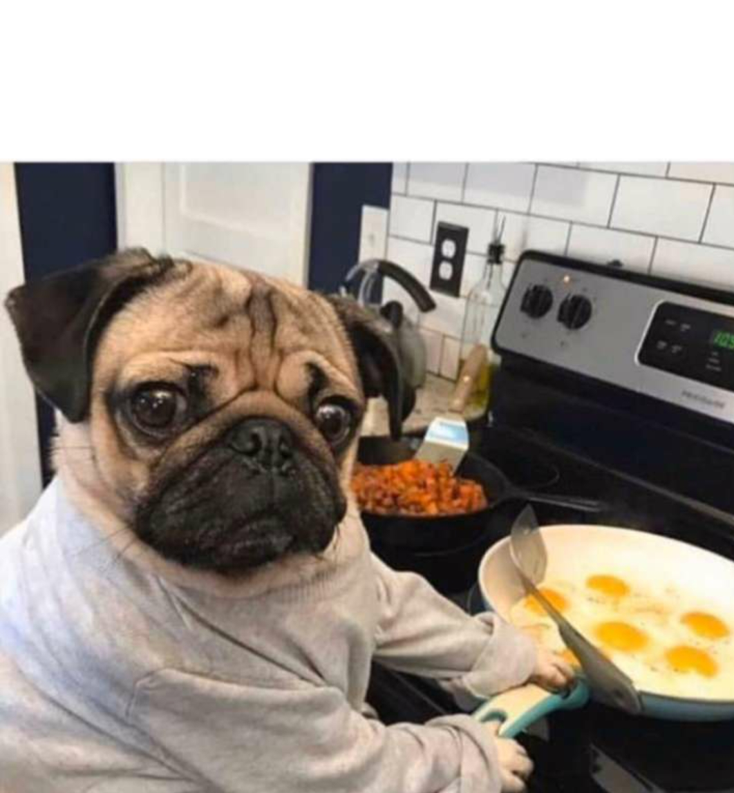 Pug Blank Meme Template