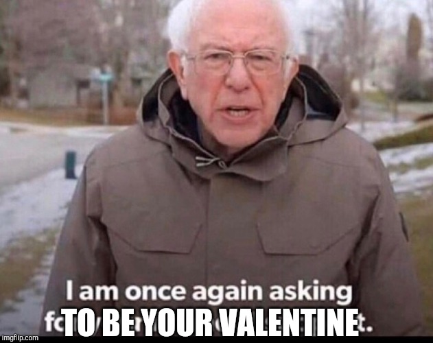 bernie sanders financial support | TO BE YOUR VALENTINE | image tagged in bernie sanders financial support | made w/ Imgflip meme maker