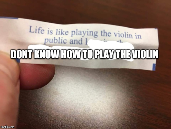 Life is like | DONT KNOW HOW TO PLAY THE VIOLIN | image tagged in life is like | made w/ Imgflip meme maker