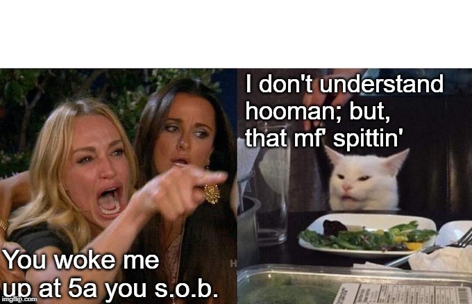 Woman Yelling At Cat Meme | I don't understand hooman; but, that mf' spittin'; You woke me up at 5a you s.o.b. | image tagged in memes,woman yelling at cat | made w/ Imgflip meme maker