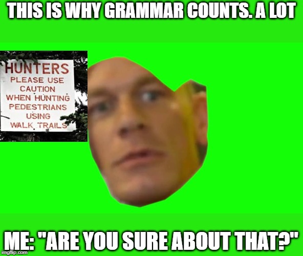 Are you sure about that? (Cena) | THIS IS WHY GRAMMAR COUNTS. A LOT; ME: "ARE YOU SURE ABOUT THAT?" | image tagged in are you sure about that cena | made w/ Imgflip meme maker