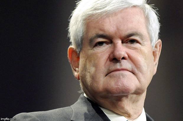 Newt gingrich | . | image tagged in newt gingrich | made w/ Imgflip meme maker