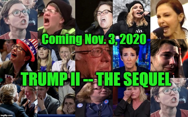 Get out the handkerchiefs.... | Coming Nov. 3, 2020; TRUMP II -- THE SEQUEL | image tagged in politics,political meme,politics lol,politicians,trump,election 2020 | made w/ Imgflip meme maker