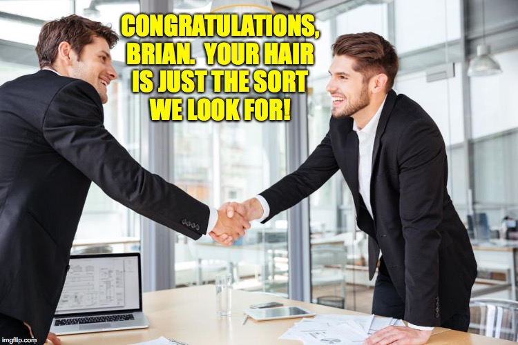 Job interview | CONGRATULATIONS,
BRIAN.  YOUR HAIR
IS JUST THE SORT
WE LOOK FOR! | image tagged in job interview | made w/ Imgflip meme maker