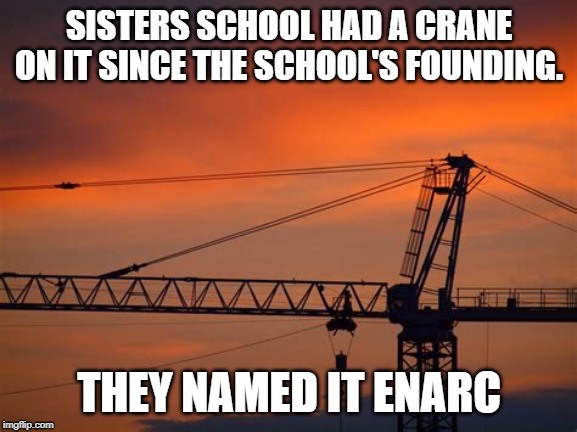 Enarc | SISTERS SCHOOL HAD A CRANE ON IT SINCE THE SCHOOL'S FOUNDING. THEY NAMED IT ENARC | image tagged in crane,enarc,funny,backword | made w/ Imgflip meme maker