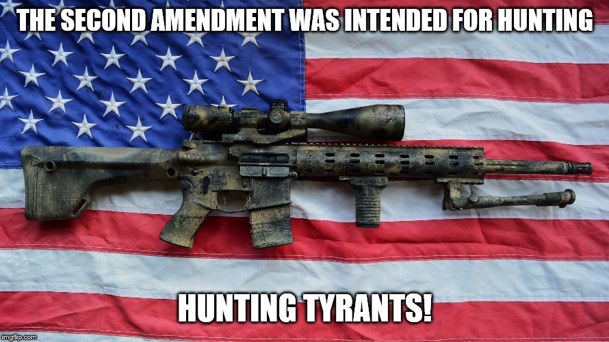 AR-15 | THE SECOND AMENDMENT WAS INTENDED FOR HUNTING; HUNTING TYRANTS! | image tagged in ar-15 | made w/ Imgflip meme maker
