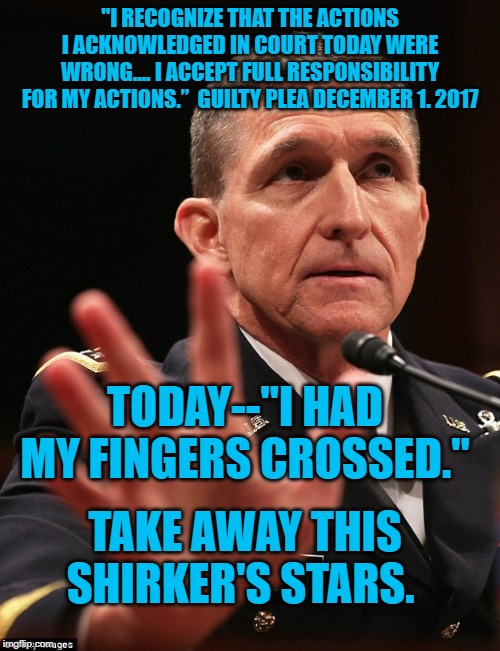 Michael Flynn | "I RECOGNIZE THAT THE ACTIONS I ACKNOWLEDGED IN COURT TODAY WERE WRONG.... I ACCEPT FULL RESPONSIBILITY FOR MY ACTIONS.”  GUILTY PLEA DECEMBER 1. 2017; TODAY--"I HAD MY FINGERS CROSSED."; TAKE AWAY THIS SHIRKER'S STARS. | image tagged in michael flynn | made w/ Imgflip meme maker