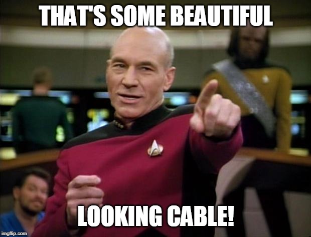 Picard | THAT'S SOME BEAUTIFUL LOOKING CABLE! | image tagged in picard | made w/ Imgflip meme maker