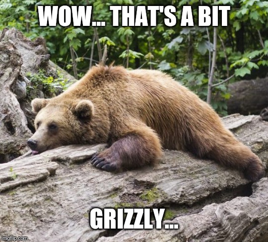 Procrastination Bear | WOW... THAT'S A BIT GRIZZLY... | image tagged in procrastination bear | made w/ Imgflip meme maker