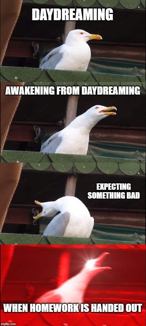 Inhaling Seagull | DAYDREAMING; AWAKENING FROM DAYDREAMING; EXPECTING SOMETHING BAD; WHEN HOMEWORK IS HANDED OUT | image tagged in memes,inhaling seagull | made w/ Imgflip meme maker