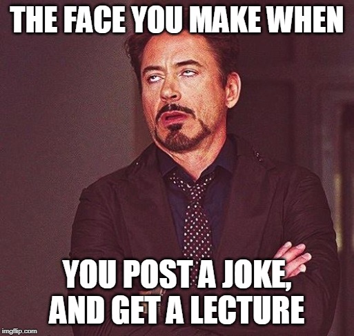 Robert Downey Jr Annoyed | THE FACE YOU MAKE WHEN; YOU POST A JOKE, AND GET A LECTURE | image tagged in robert downey jr annoyed | made w/ Imgflip meme maker