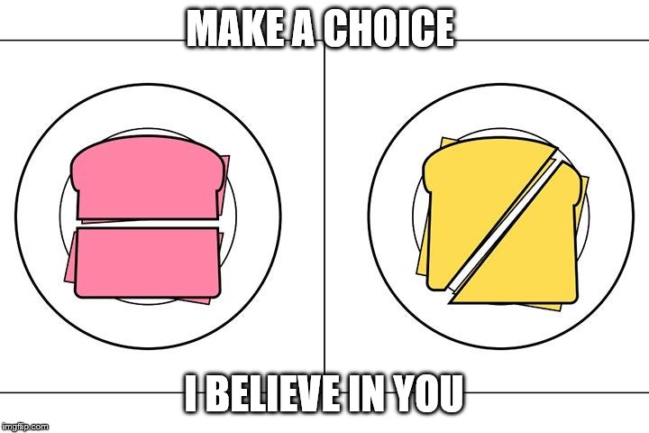 sandwich choices | MAKE A CHOICE; I BELIEVE IN YOU | image tagged in choices | made w/ Imgflip meme maker