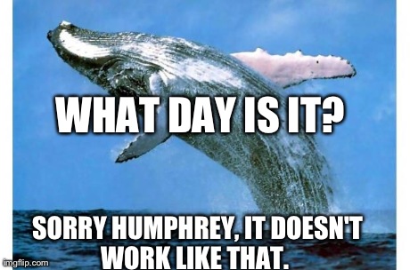 WHAT DAY IS IT? SORRY HUMPHREY, IT DOESN'T WORK LIKE THAT. | made w/ Imgflip meme maker