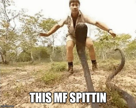 Steve | THIS MF SPITTIN | image tagged in funny | made w/ Imgflip meme maker