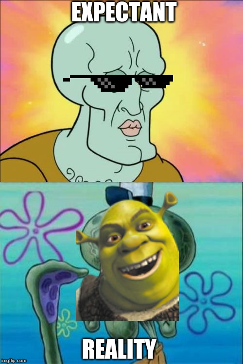 Squidward Meme | EXPECTANT; REALITY | image tagged in memes,squidward | made w/ Imgflip meme maker