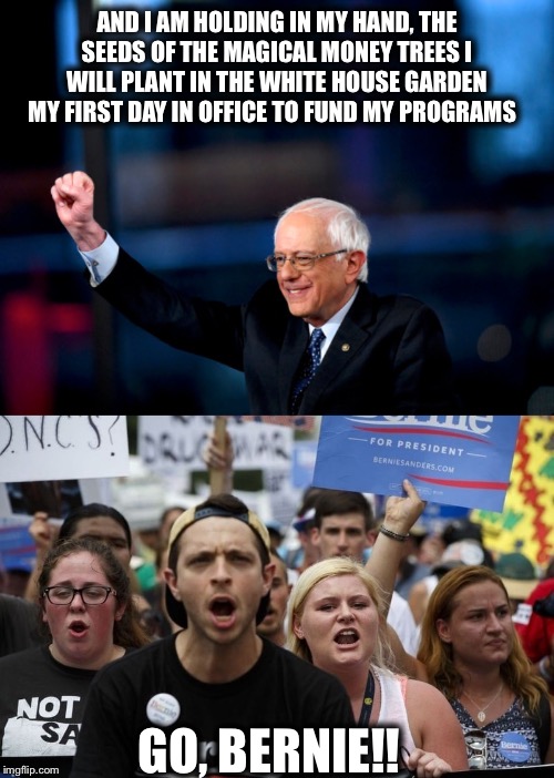 Stupid is as stupid does | AND I AM HOLDING IN MY HAND, THE SEEDS OF THE MAGICAL MONEY TREES I WILL PLANT IN THE WHITE HOUSE GARDEN MY FIRST DAY IN OFFICE TO FUND MY PROGRAMS; GO, BERNIE!! | image tagged in bernie sanders,democratic socialism,communist socialist,socialism,communism | made w/ Imgflip meme maker