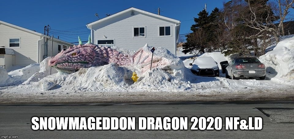 Snowmageddon Dragon 2020 | SNOWMAGEDDON DRAGON 2020 NF&LD | image tagged in snowmageddon,2020,dragon,sculpture,newfoundland,stjohns | made w/ Imgflip meme maker