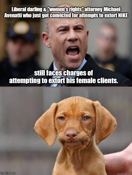 Liberal loudmouth lawyer Michael Avenatti | Liberal darling & "women's rights" attorney Michael Avenatti who just got convicted for attempts to extort NIKE; still faces charges of attempting to extort his female clients. | image tagged in disappointed dog,michael avenatti,convicted in extortion scheme,liberal hypocrisy,trump hater | made w/ Imgflip meme maker