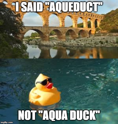 Aqueduct Duck | I SAID "AQUEDUCT"; NOT "AQUA DUCK" | image tagged in rubber ducks | made w/ Imgflip meme maker
