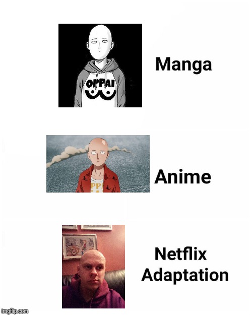 Manga, Anime, Netflix adaption | image tagged in manga anime netflix adaption | made w/ Imgflip meme maker