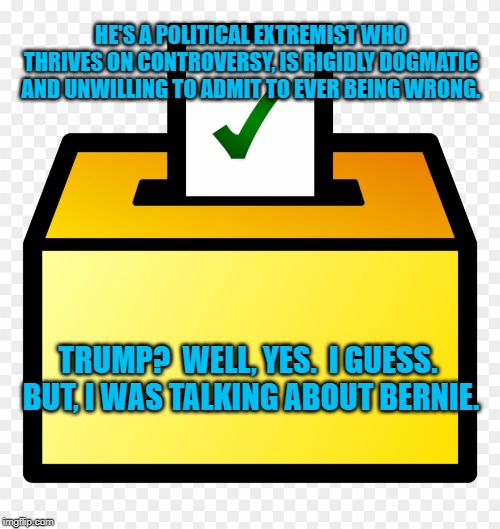 Ballot Box color Yellow | HE'S A POLITICAL EXTREMIST WHO THRIVES ON CONTROVERSY, IS RIGIDLY DOGMATIC AND UNWILLING TO ADMIT TO EVER BEING WRONG. TRUMP?  WELL, YES.  I GUESS.  BUT, I WAS TALKING ABOUT BERNIE. | image tagged in ballot box color yellow | made w/ Imgflip meme maker