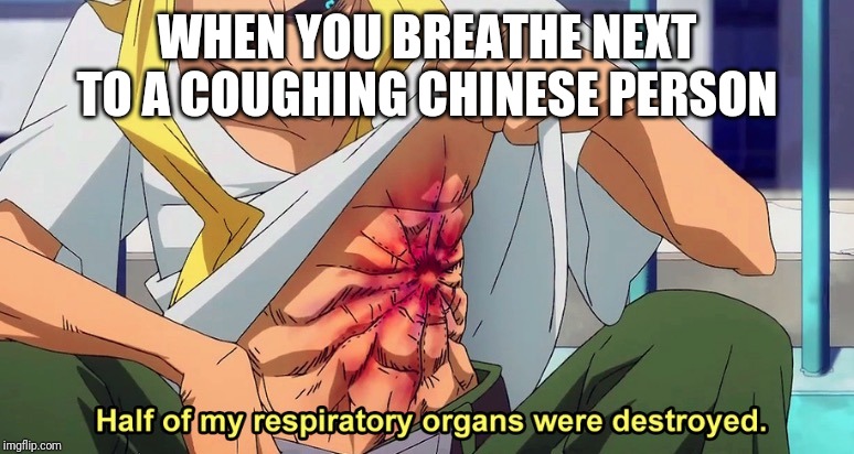 Half of my respiratory organs were destroyed | WHEN YOU BREATHE NEXT TO A COUGHING CHINESE PERSON | image tagged in half of my respiratory organs were destroyed | made w/ Imgflip meme maker