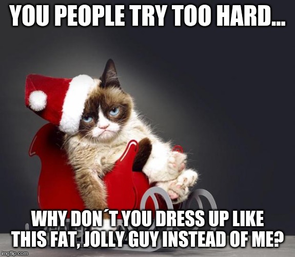 Grumpy Cat Christmas HD | YOU PEOPLE TRY TOO HARD... WHY DON´T YOU DRESS UP LIKE THIS FAT, JOLLY GUY INSTEAD OF ME? | image tagged in grumpy cat christmas hd | made w/ Imgflip meme maker