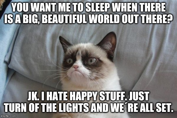 Grumpy Cat Bed Meme | YOU WANT ME TO SLEEP WHEN THERE IS A BIG, BEAUTIFUL WORLD OUT THERE? JK. I HATE HAPPY STUFF. JUST TURN OF THE LIGHTS AND WE´RE ALL SET. | image tagged in memes,grumpy cat bed,grumpy cat | made w/ Imgflip meme maker