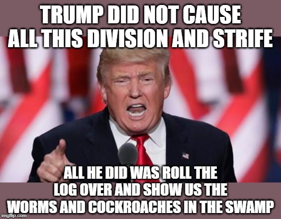 Trump exposed the rot | TRUMP DID NOT CAUSE ALL THIS DIVISION AND STRIFE; ALL HE DID WAS ROLL THE LOG OVER AND SHOW US THE WORMS AND COCKROACHES IN THE SWAMP | image tagged in trump,rot,creepy swamp things | made w/ Imgflip meme maker