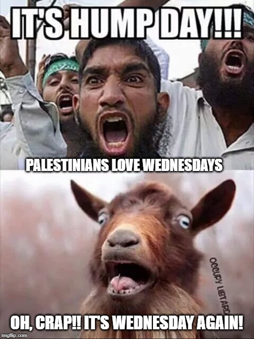 PALESTINIANS LOVE WEDNESDAYS OH, CRAP!! IT'S WEDNESDAY AGAIN! | made w/ Imgflip meme maker