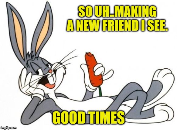 The adventure of bugs bunny | SO UH..MAKING A NEW FRIEND I SEE. GOOD TIMES | image tagged in the adventure of bugs bunny | made w/ Imgflip meme maker