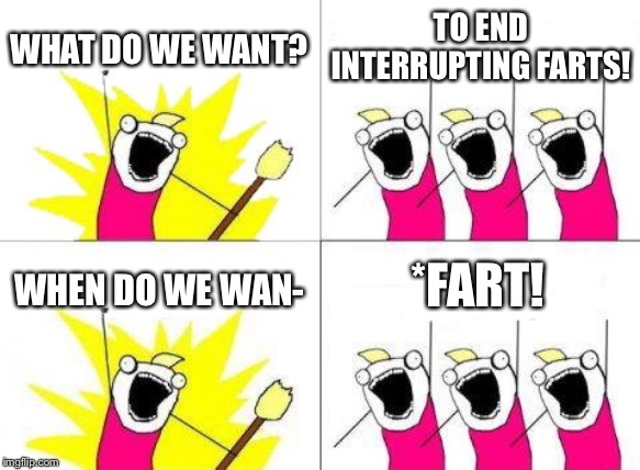 Fart! | WHAT DO WE WANT? TO END INTERRUPTING FARTS! *FART! WHEN DO WE WAN- | image tagged in memes,what do we want,fart,funny,ironic,oof | made w/ Imgflip meme maker