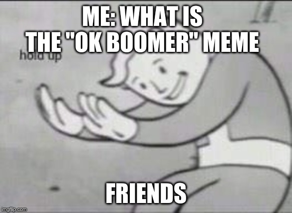 Fallout Hold Up | ME: WHAT IS THE "OK BOOMER" MEME; FRIENDS | image tagged in fallout hold up | made w/ Imgflip meme maker