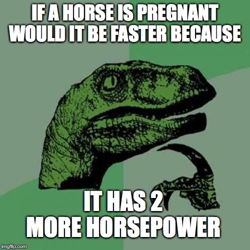 Philosoraptor Meme | IF A HORSE IS PREGNANT WOULD IT BE FASTER BECAUSE; IT HAS 2 MORE HORSEPOWER | image tagged in memes,philosoraptor | made w/ Imgflip meme maker
