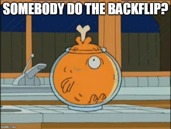 SOMEBODY DO THE BACKFLIP? | image tagged in american dad,backflip,klaus | made w/ Imgflip meme maker
